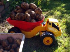 Share The Bounty: Take the 2014 Garden Pledge