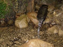 Water Is Not A Human Right