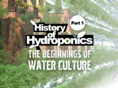 history of hydroponics