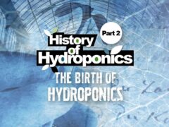 history of hydroponics