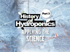 history of hydroponics