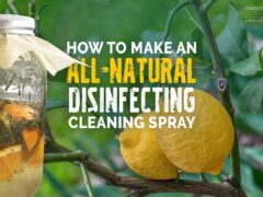 DIY all natural disinfectant