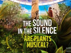 are plants musical?