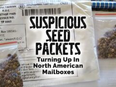 suspicious seed packets