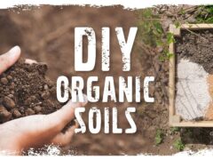 DIY organic soil