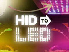 hid to led