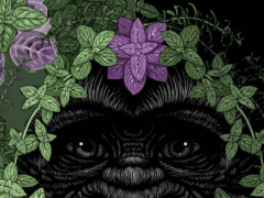 monster plants