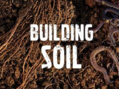 building soil
