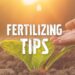 Fertilizing tips
