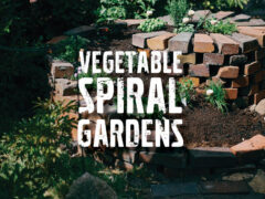 vegetable spiral gardens