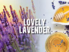 Lovely Lavender