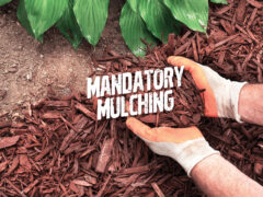 Mandatory Mulching