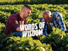 Words of wisdom to plan your next grow