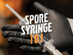 Cultivating mushrooms.