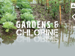 the dangers or chlorine