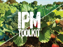 Integrated Pest Management Strategies