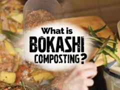 Bokashi composting explained.