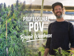 Professional POV with Reggie Weedman.