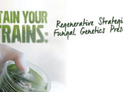 Fungal genetics.