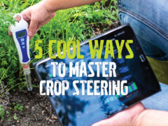 5 Cool Ways to Master Crop Steering.