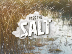 Pass the Salt