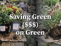 Saving Green ($$$) on Green