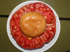 Heirloom Tomato Cross: Big Zac