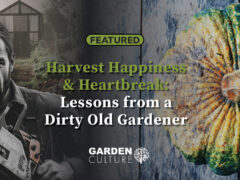 Notes from a Dirty Old Gardener - Harvest Happiness and Heartbreak