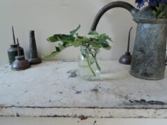 start-tomatoes-from-cuttings.2