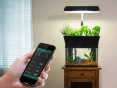 InnoGro World's First Smart Aquaponic Garden