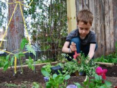 Gardening with Kids: Growing Healthy Choices