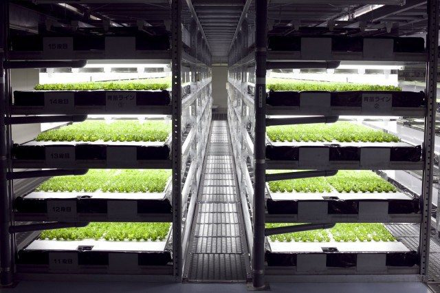 Spread Creates World's First Robotic Indoor Farm
